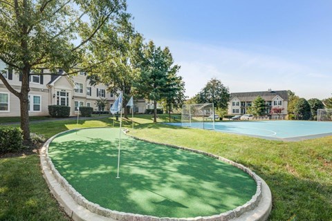 a basketball court with a basketball hoop in the middle of the grass