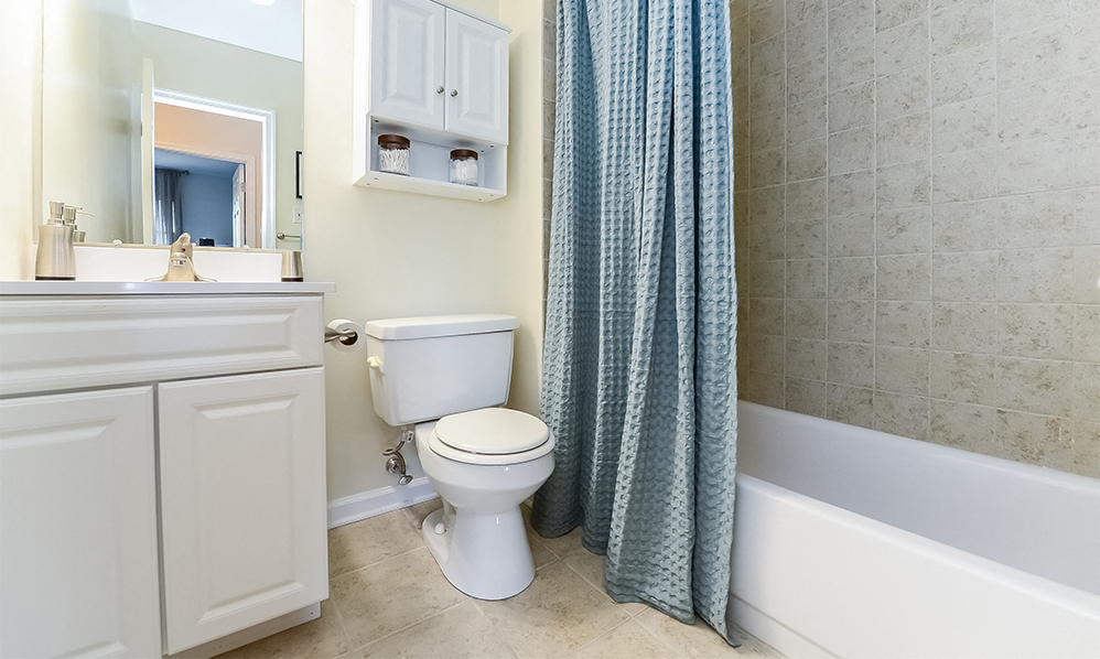 a bathroom with a shower and a toilet and a sink