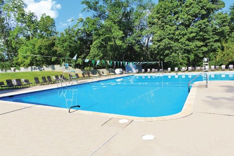 a large swimming pool with trees in the background