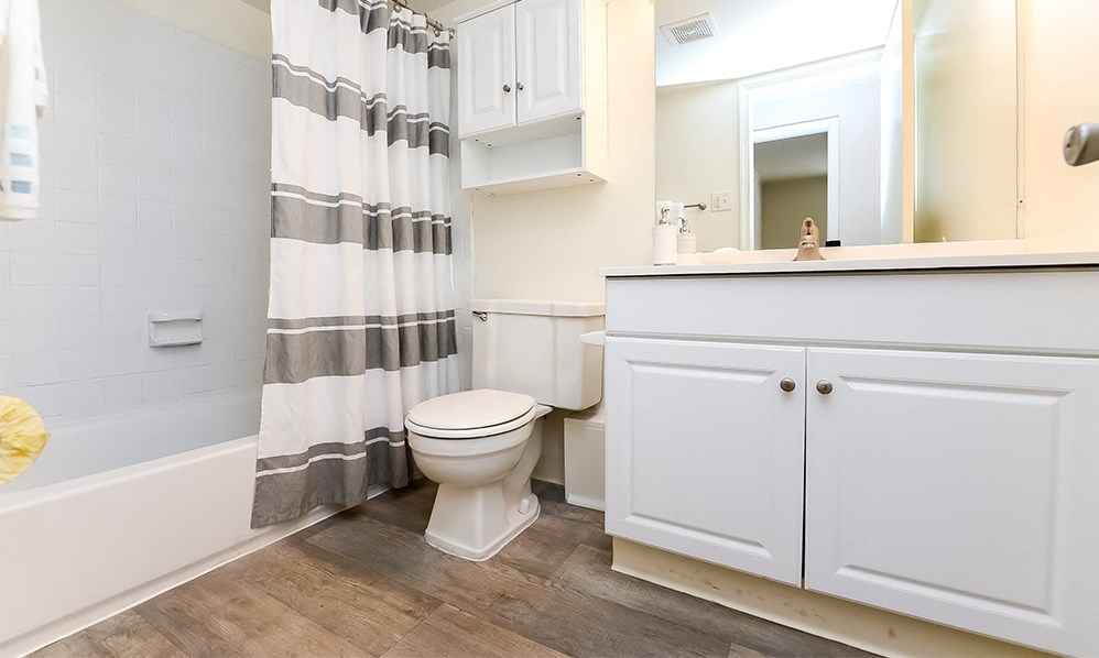 a bathroom with a shower and a toilet and a sink