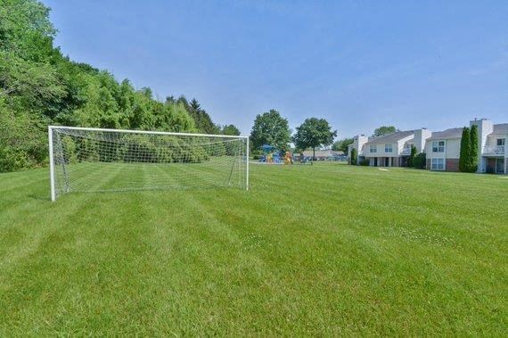 a soccer field with a net in the grass