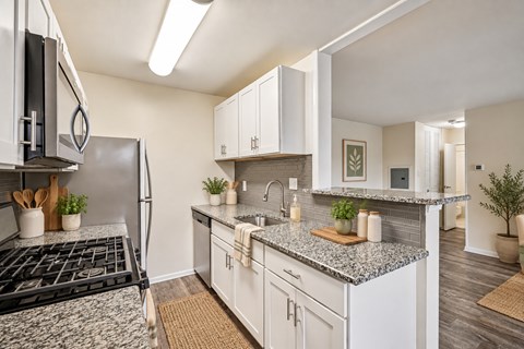 2517 Dunksferry Road Studio-3 Beds Apartment for Rent