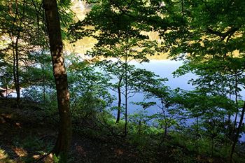 river trail by Grand Ledge MI