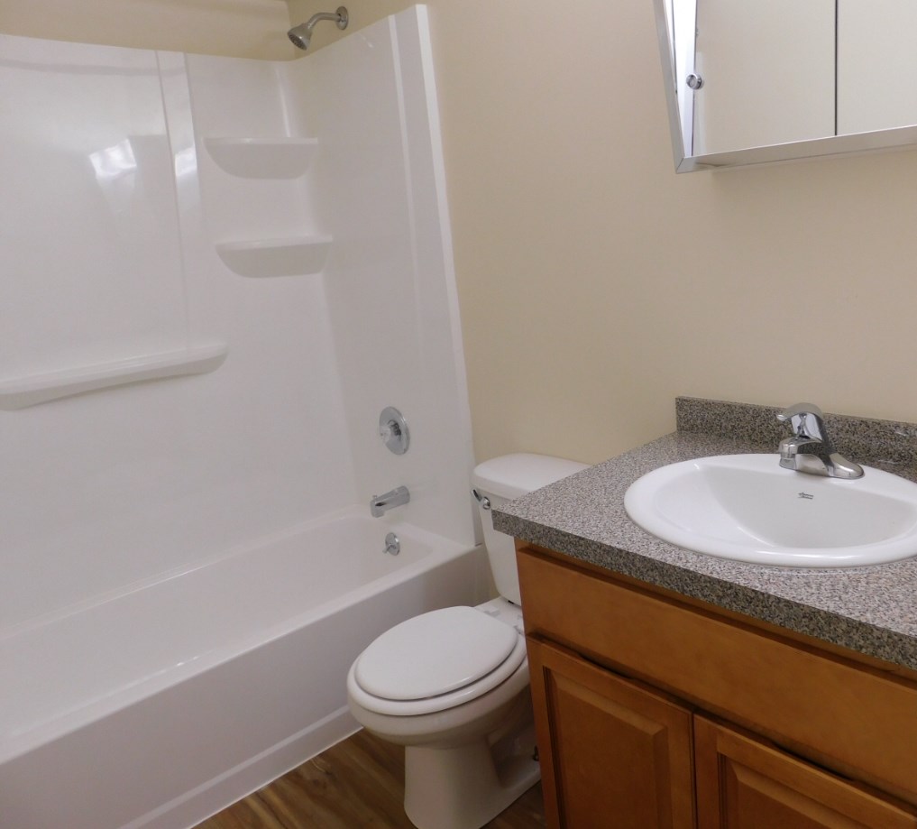 an empty bathroom with a sink toilet and shower
