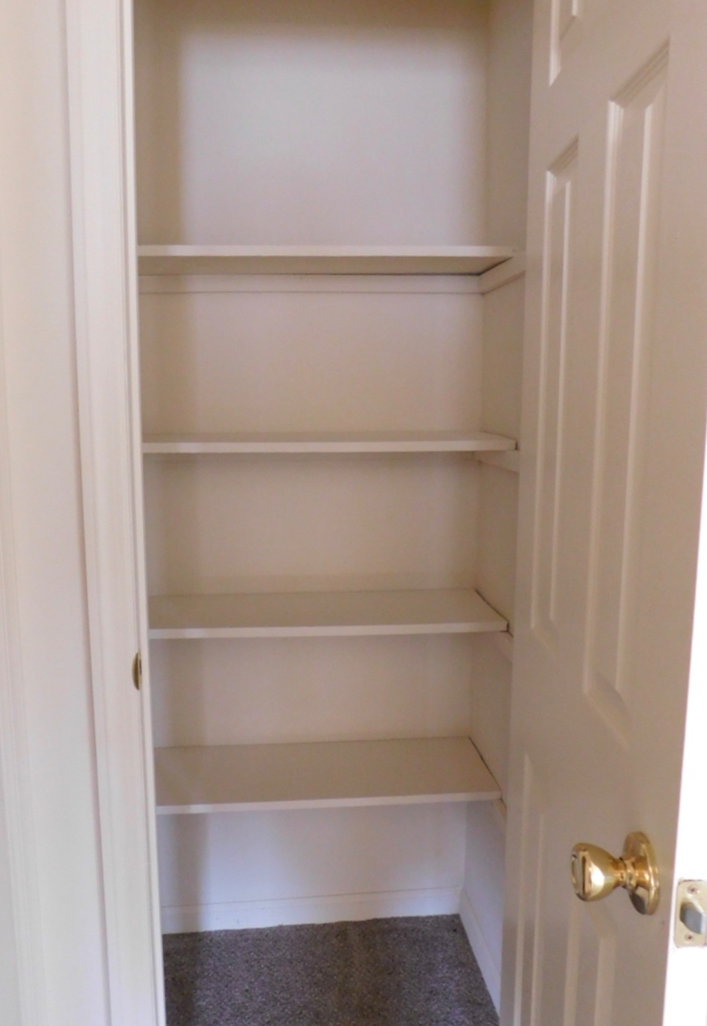 the empty shelves in the closet are empty