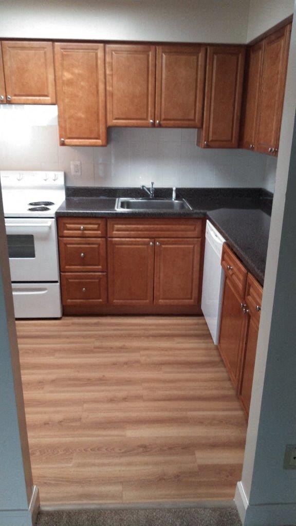 updated apartments for rent - kitchen sandy hook