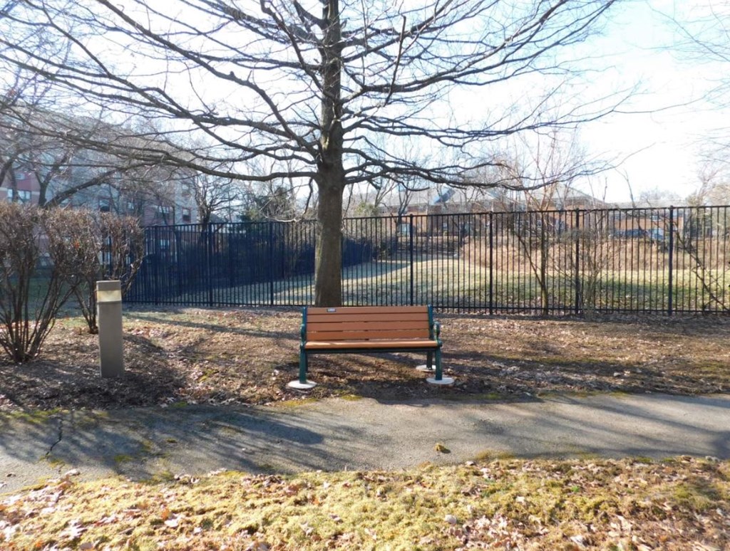 a park bench sitting next to a tree