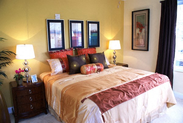 apartments for rent near Rutgers University