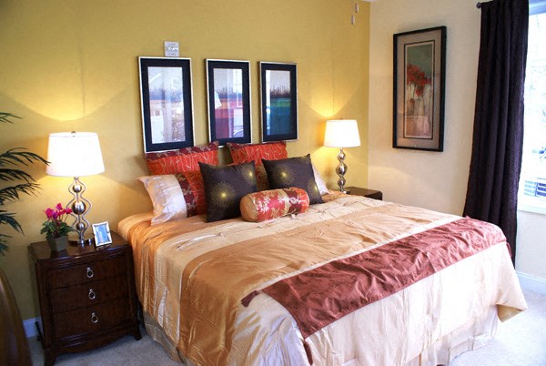 apartments for rent near Rutgers University