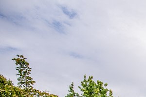 Tacoma Apartments - Aero Apartments - Pool Tacoma Apartments - Aero Apartments - Pool - Photo Gallery 4
