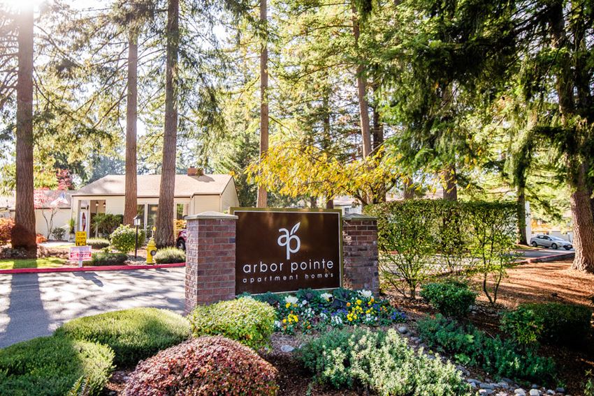 Lakewood Apartments - Arbor Pointe Apartments - Sign - Photo Gallery 1