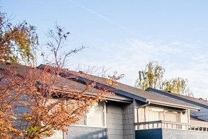 Fife Apartments - The Lakes at Fife Apartments - Pool Fife Apartments - The Lakes at Fife Apartments - Pool - Photo Gallery 3