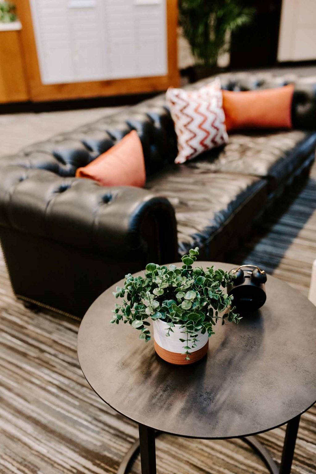 a potted plant sitting on a table in front of a couch
