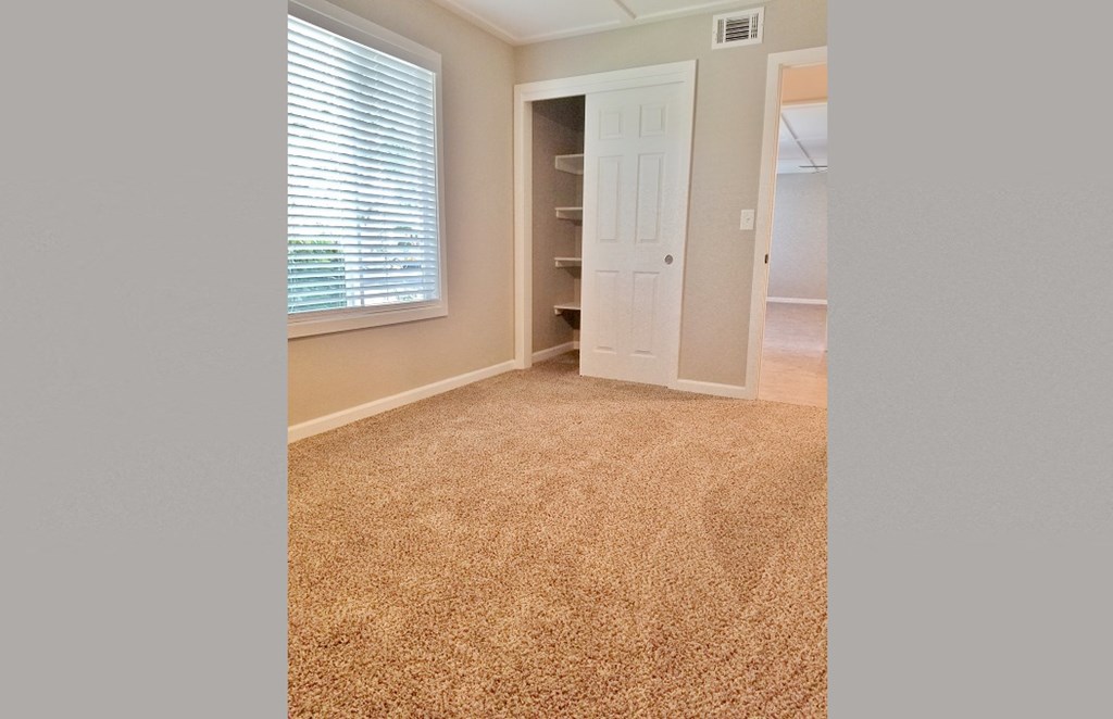 Bedroom view with carpet flooring, well lit window, and closet door open showing built in shelfing