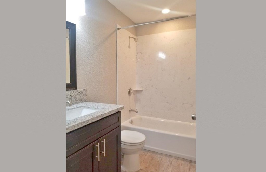 Bathroom view with vanity, toilet, and tub shower combo