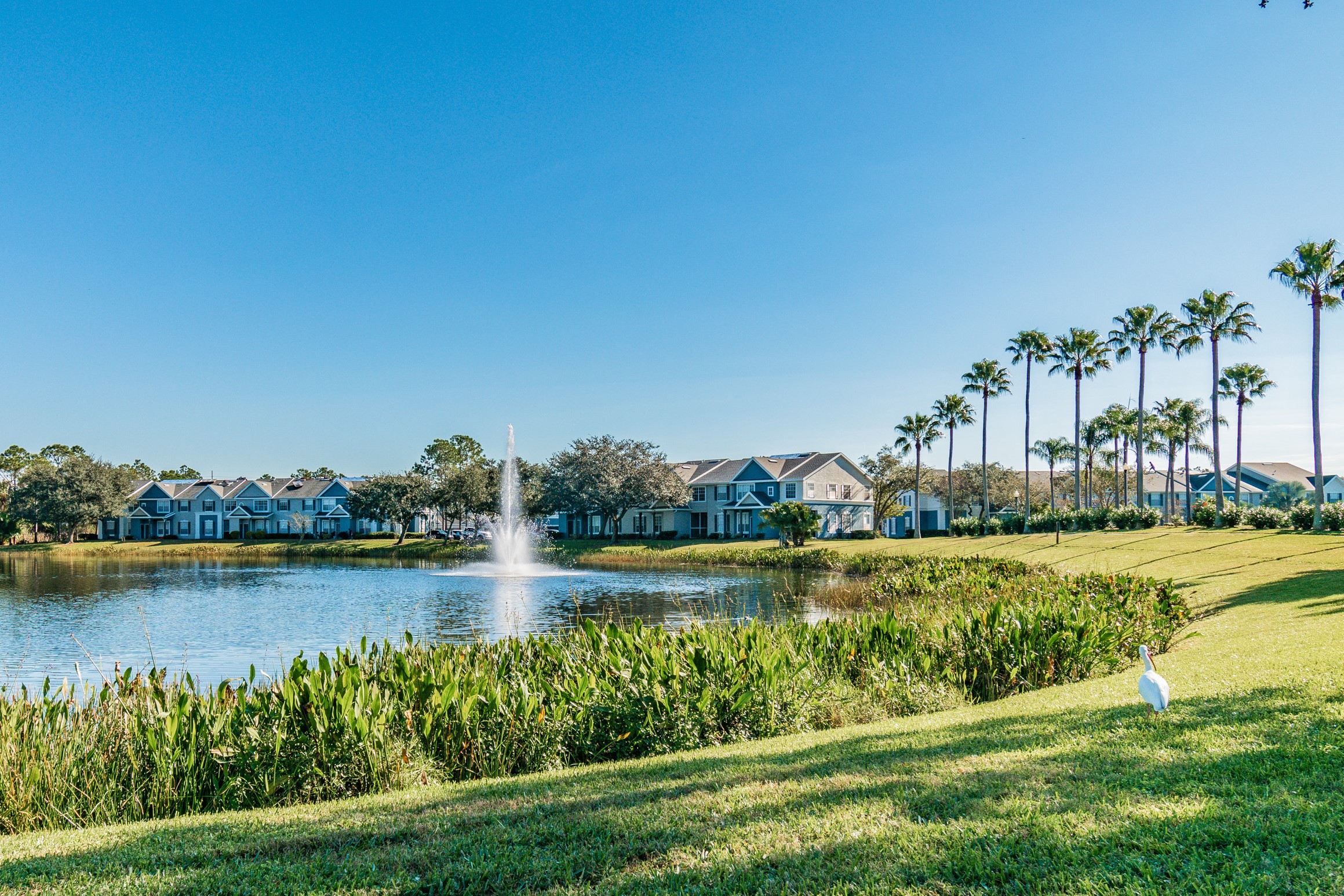 Beautiful Lake at 2211 Grand Isle, Brandon, FL