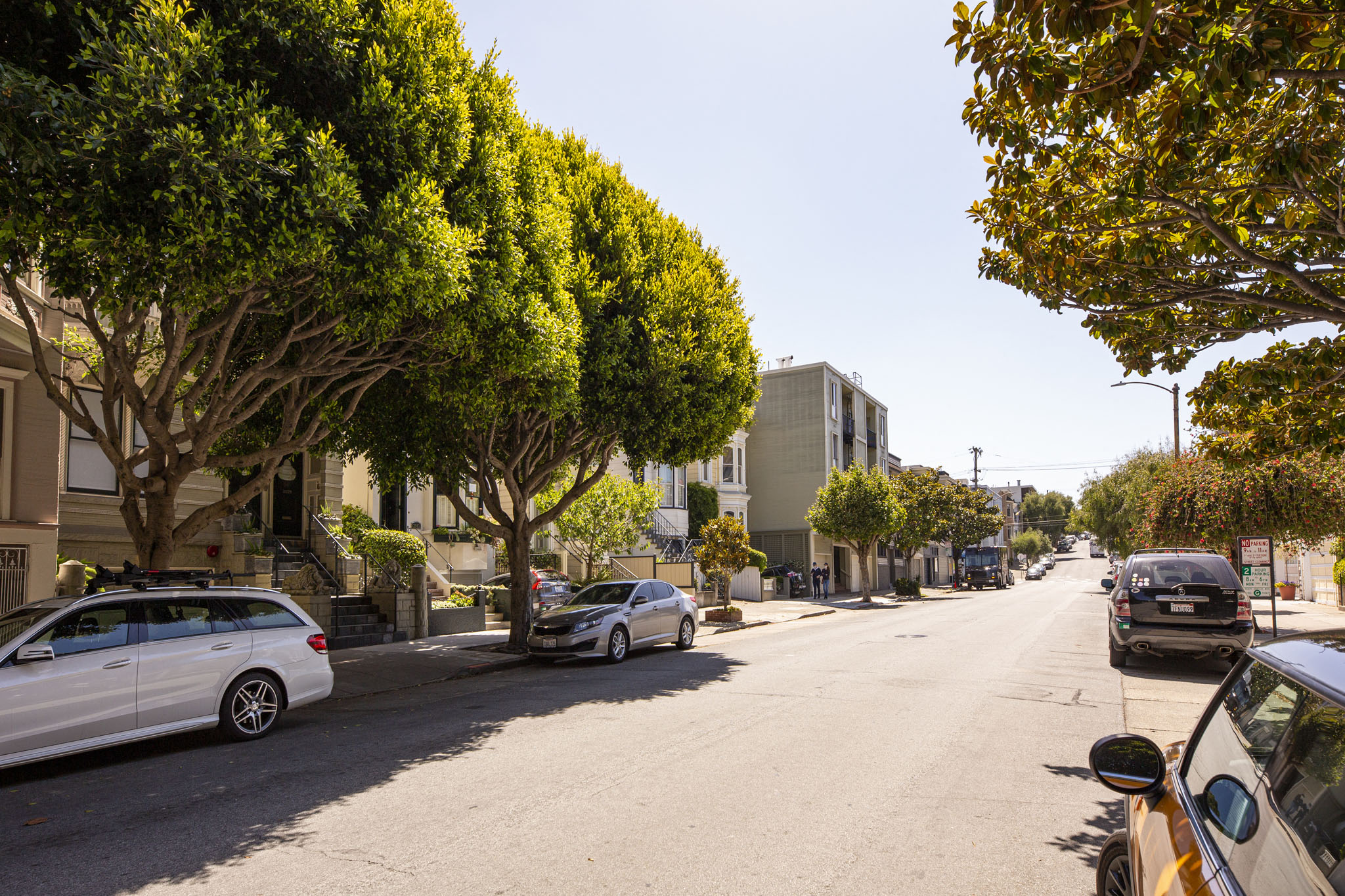 A street lined with trees and parked cars.