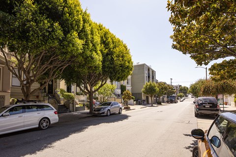 A street lined with trees and parked cars.