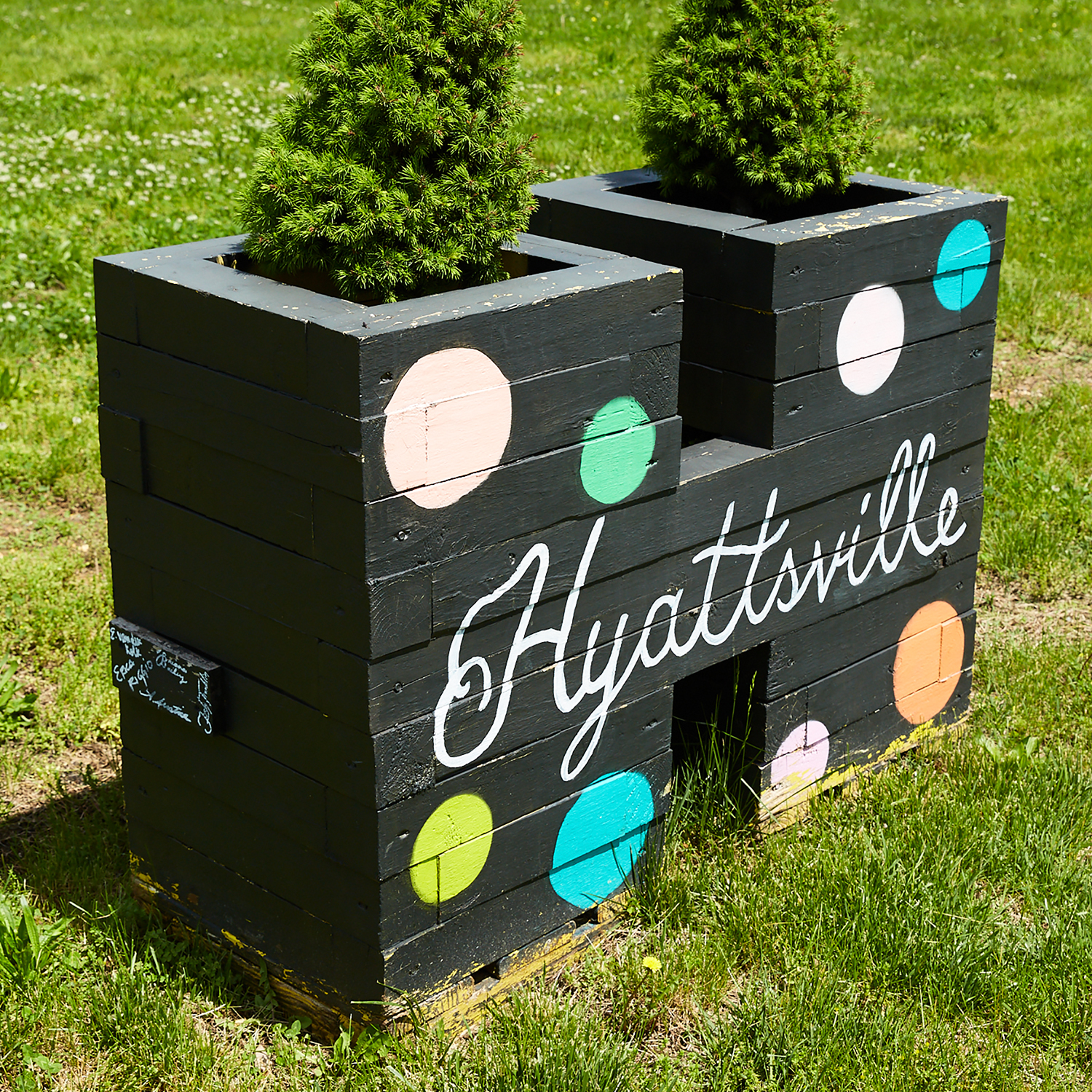 The Top 5 Things to Do in Hyattsville Maryland