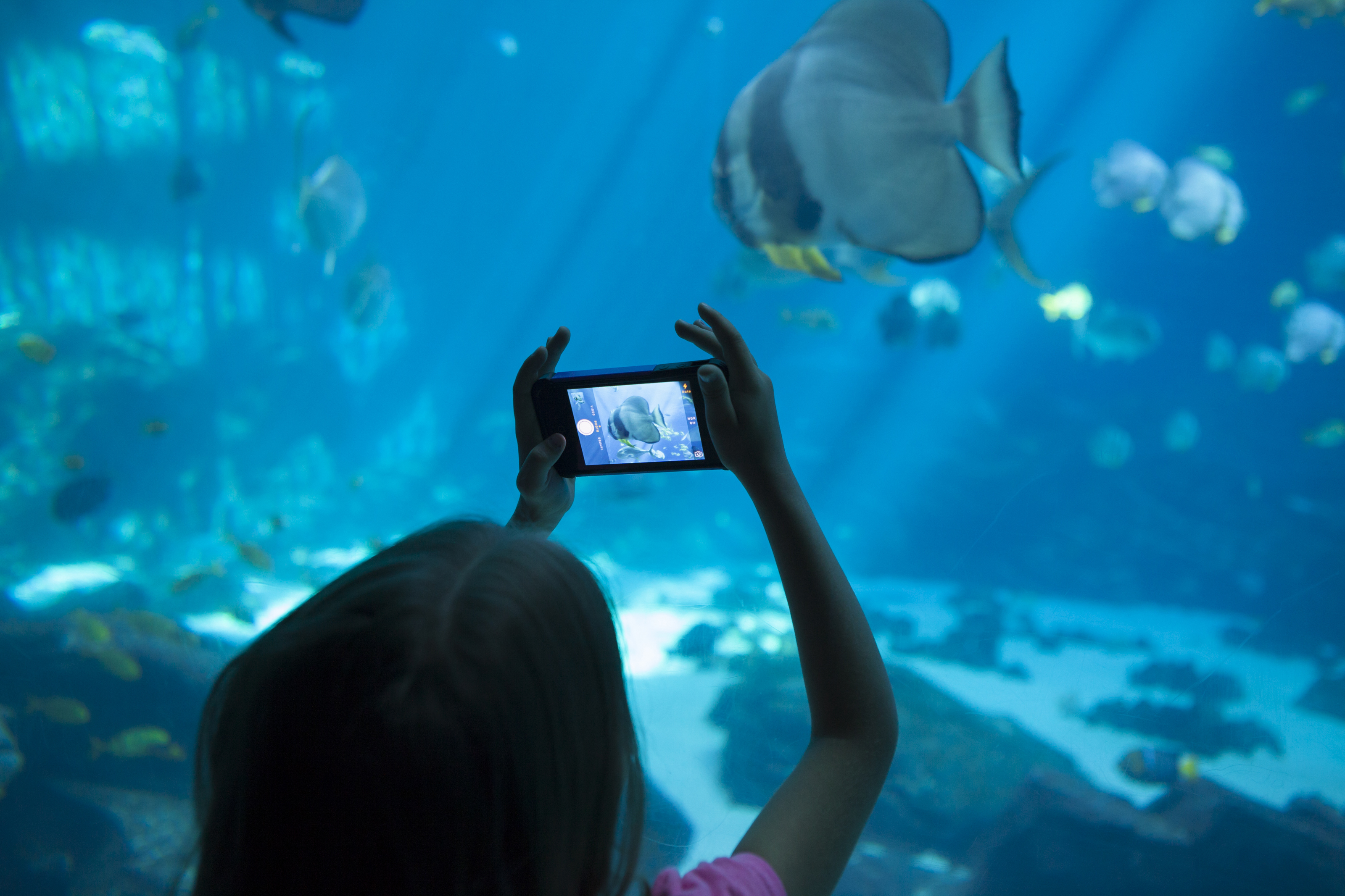 Aquarium Aquarium