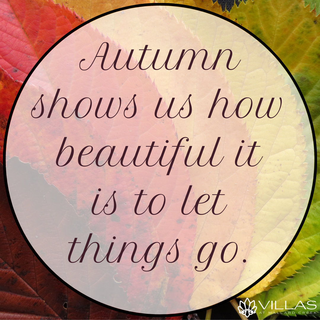 Beautiful Fall Photos With Quotes