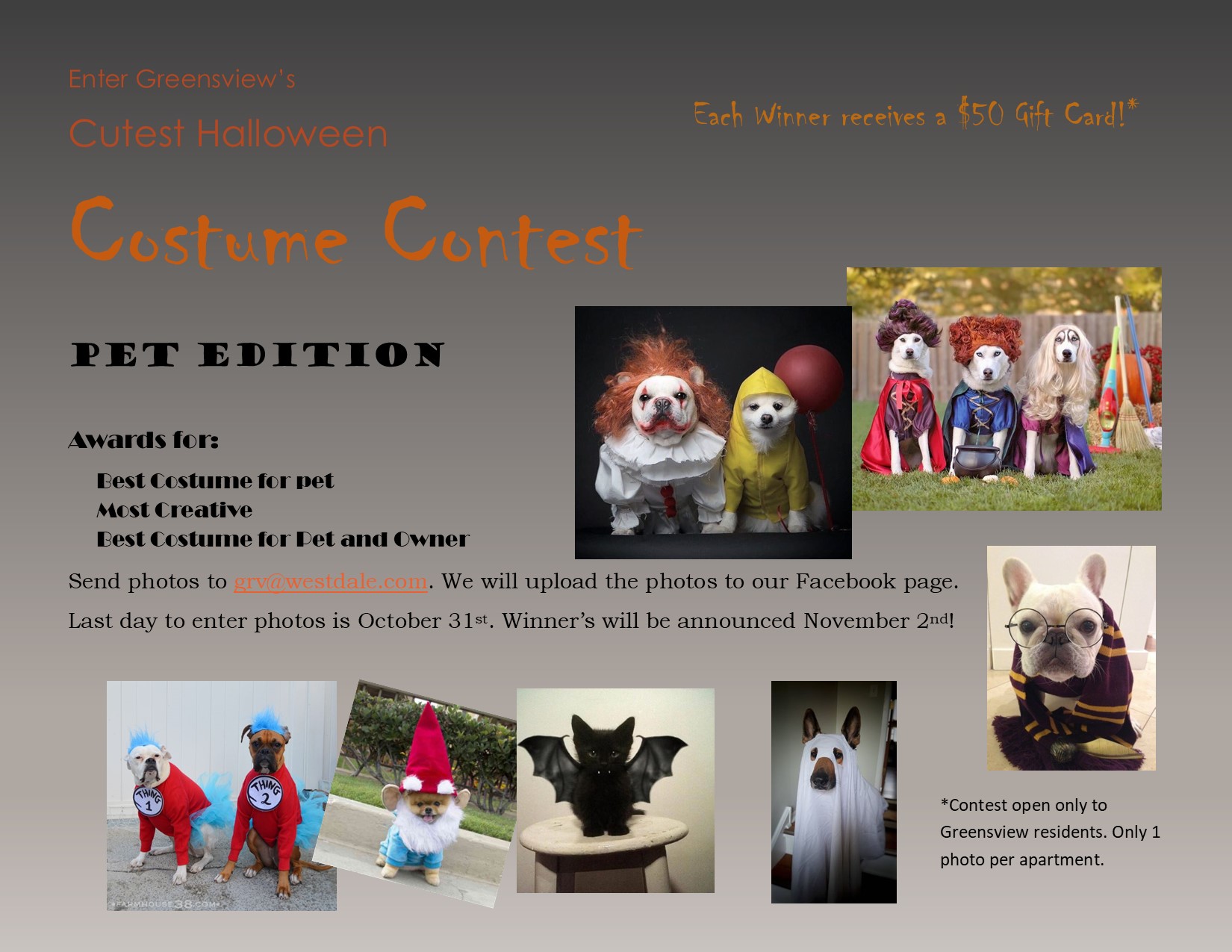 94.5 PST's Pet Halloween Costume Contest