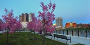 Calendar Of Events Springs To Life In Columbus Preferred Living Blog