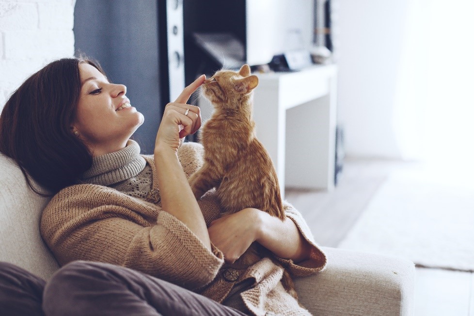 how-to-find-a-pet-friendly-apartment-abberly-chase-apartment-homes-blog